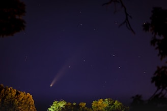 A night sky featuring a visible comet with a glowing tail. Stars are scattered across the dark sky, and the silhouette of leafy trees can be seen at the bottom.