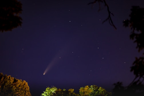 A night sky featuring a visible comet with a glowing tail. Stars are scattered across the dark sky, and the silhouette of leafy trees can be seen at the bottom.
