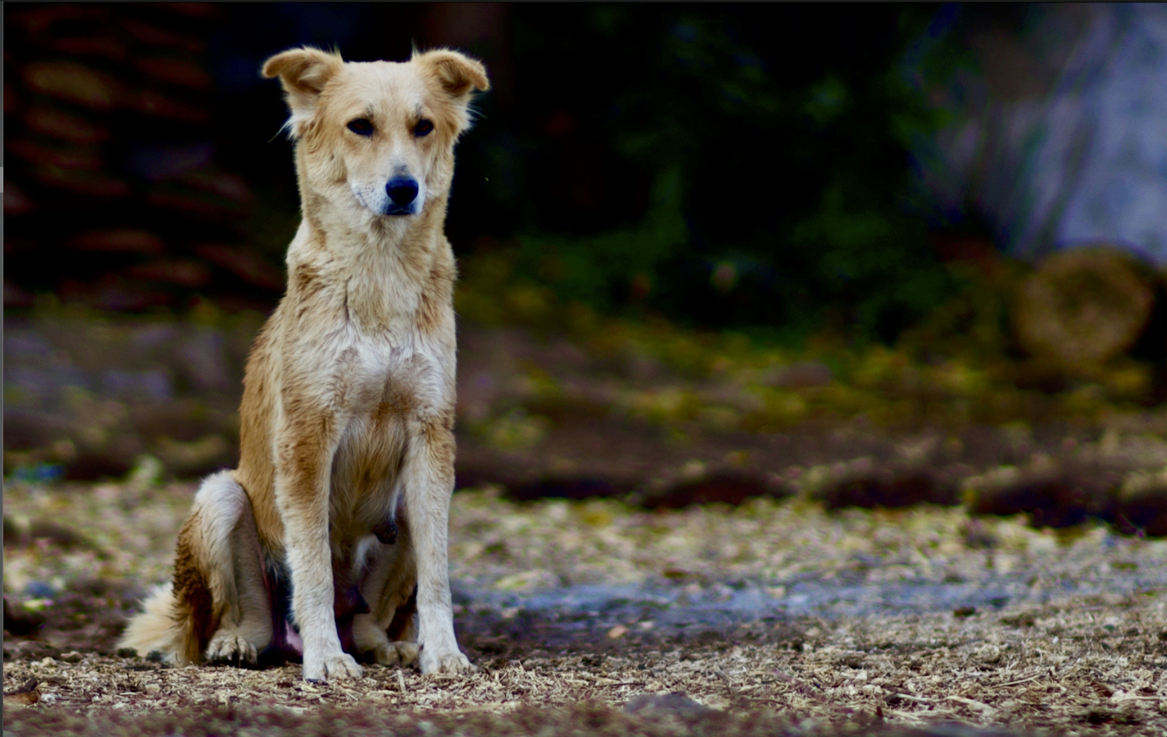 Photo by rrajputphotography