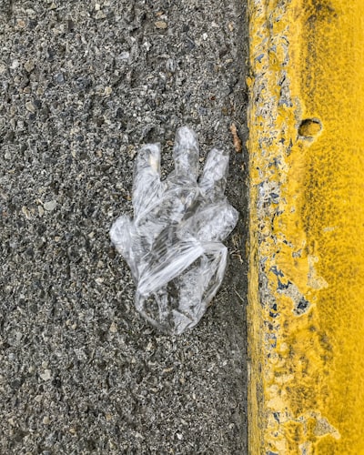 Disposable Food Service Gloves