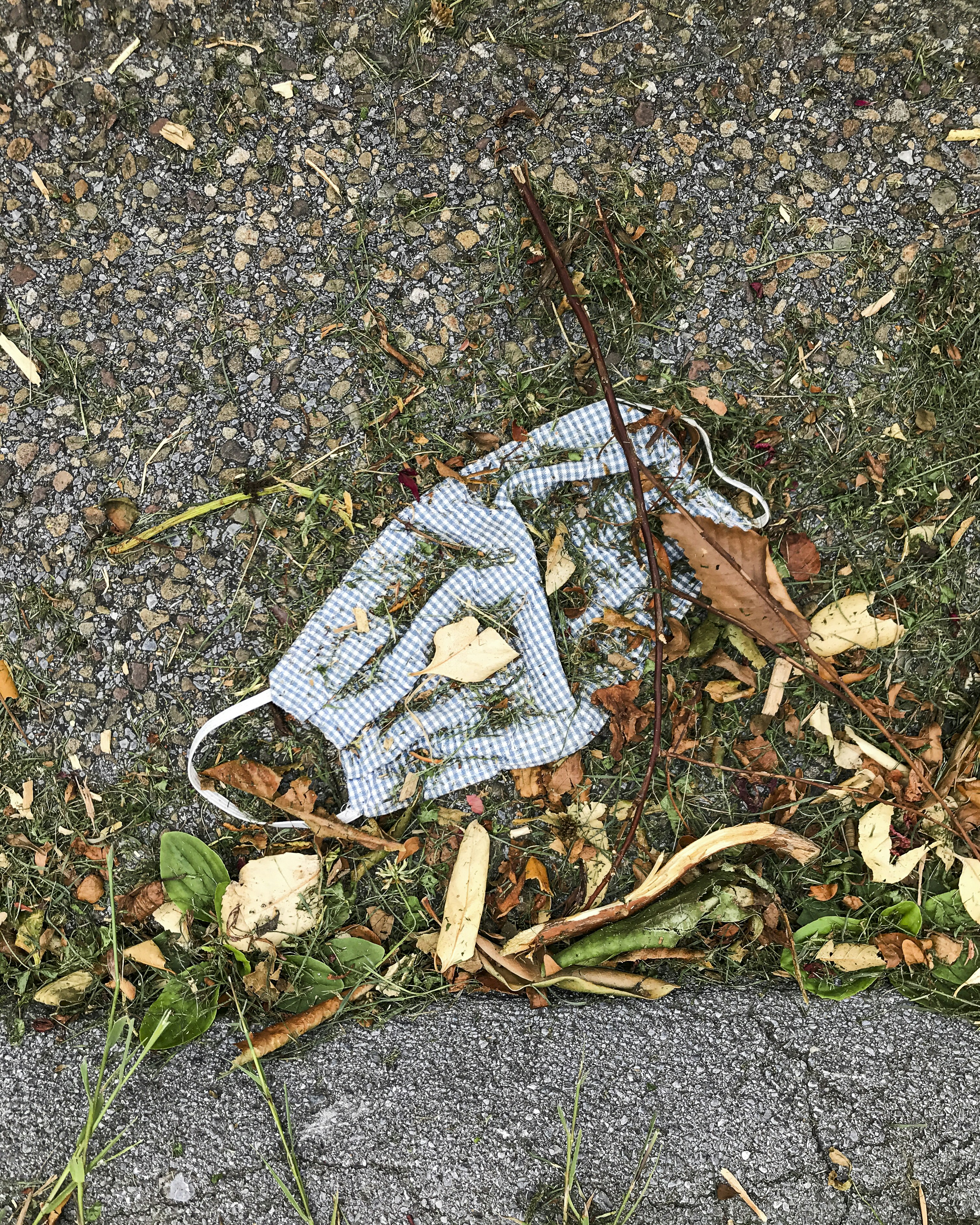 Photo by mohammadshahhosseini