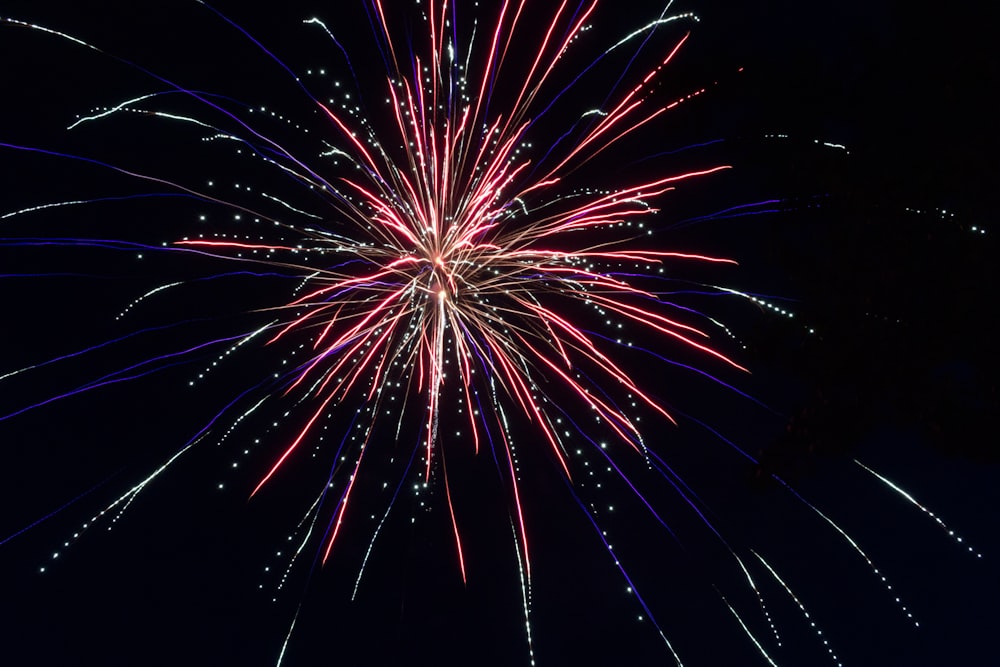 red and white fireworks display