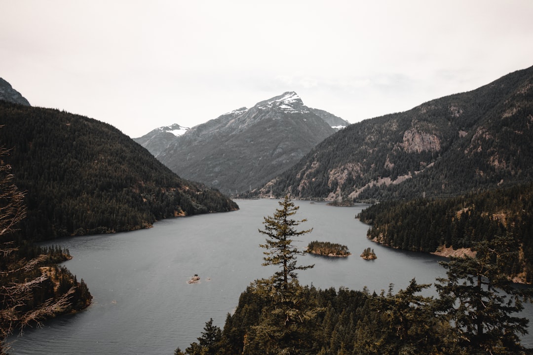 green trees near lake and mountains during daytime