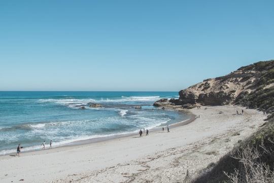 people on beach during daytime in Rye VIC Australia