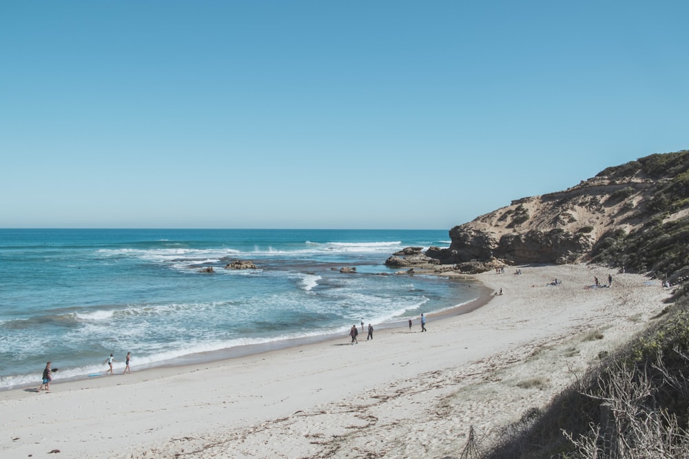 people on beach during daytime