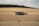 A drone is flying over an expansive, golden field, likely a wheat field, with gentle rolling hills in the background. The sky appears cloudy, with soft lighting casting a serene glow over the landscape.