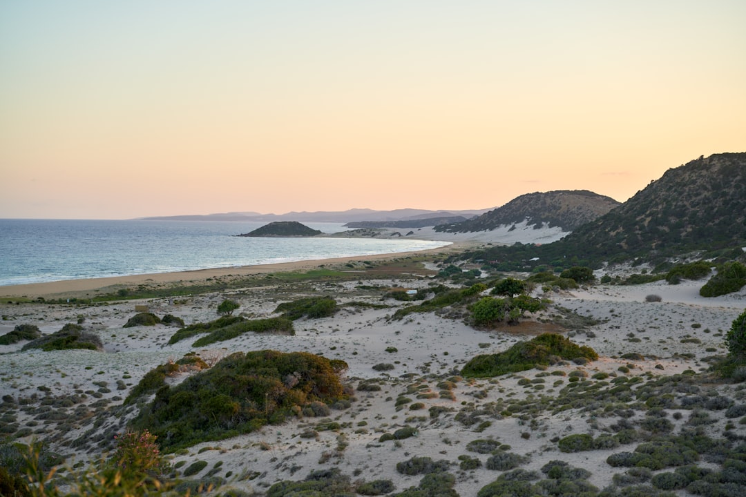 green grass on seashore during daytime