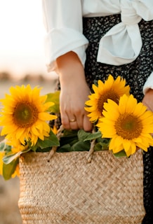 person holding yellow sunflower bouquet