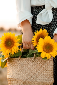 person holding yellow sunflower bouquet