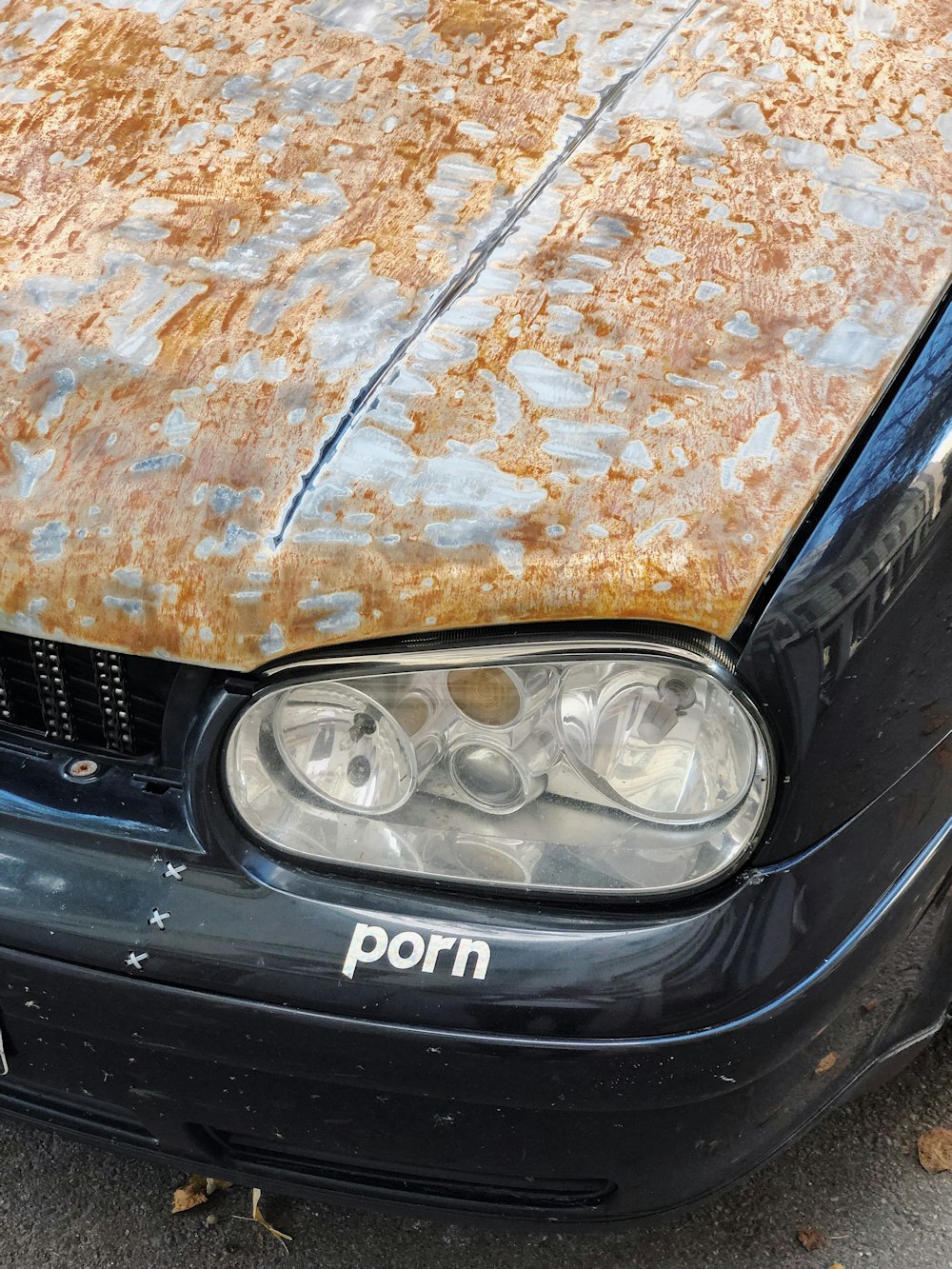 black car with brown and white leaves