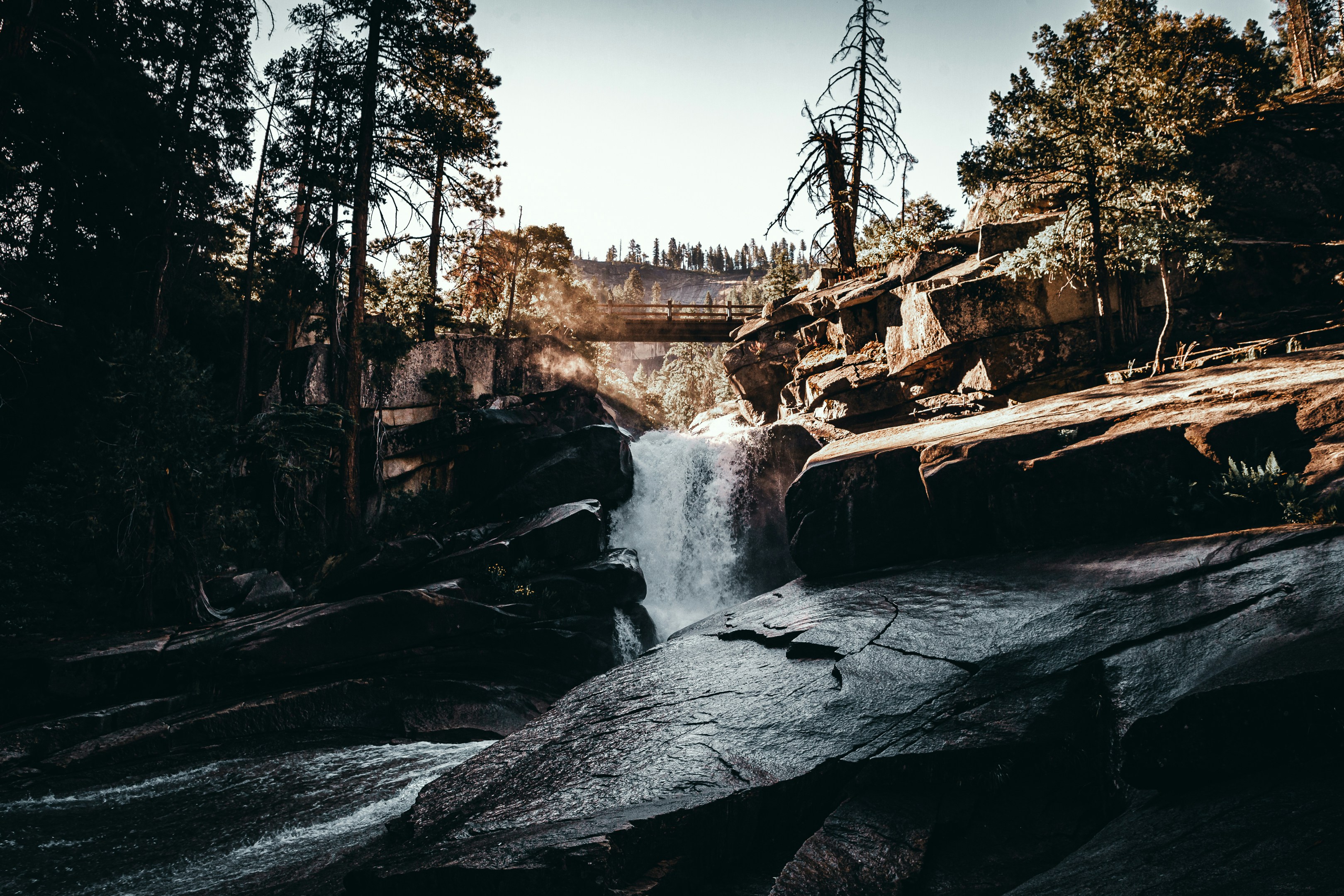 Photo by eddyshotit