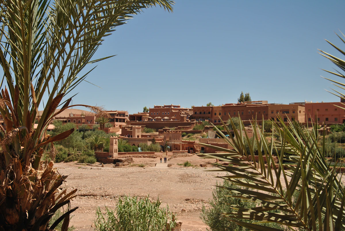 Kasbah beside a green palm tree, Morocco