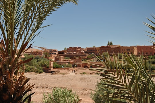 brown concrete building near green palm tree during daytime in Aït Ben Haddou Morocco