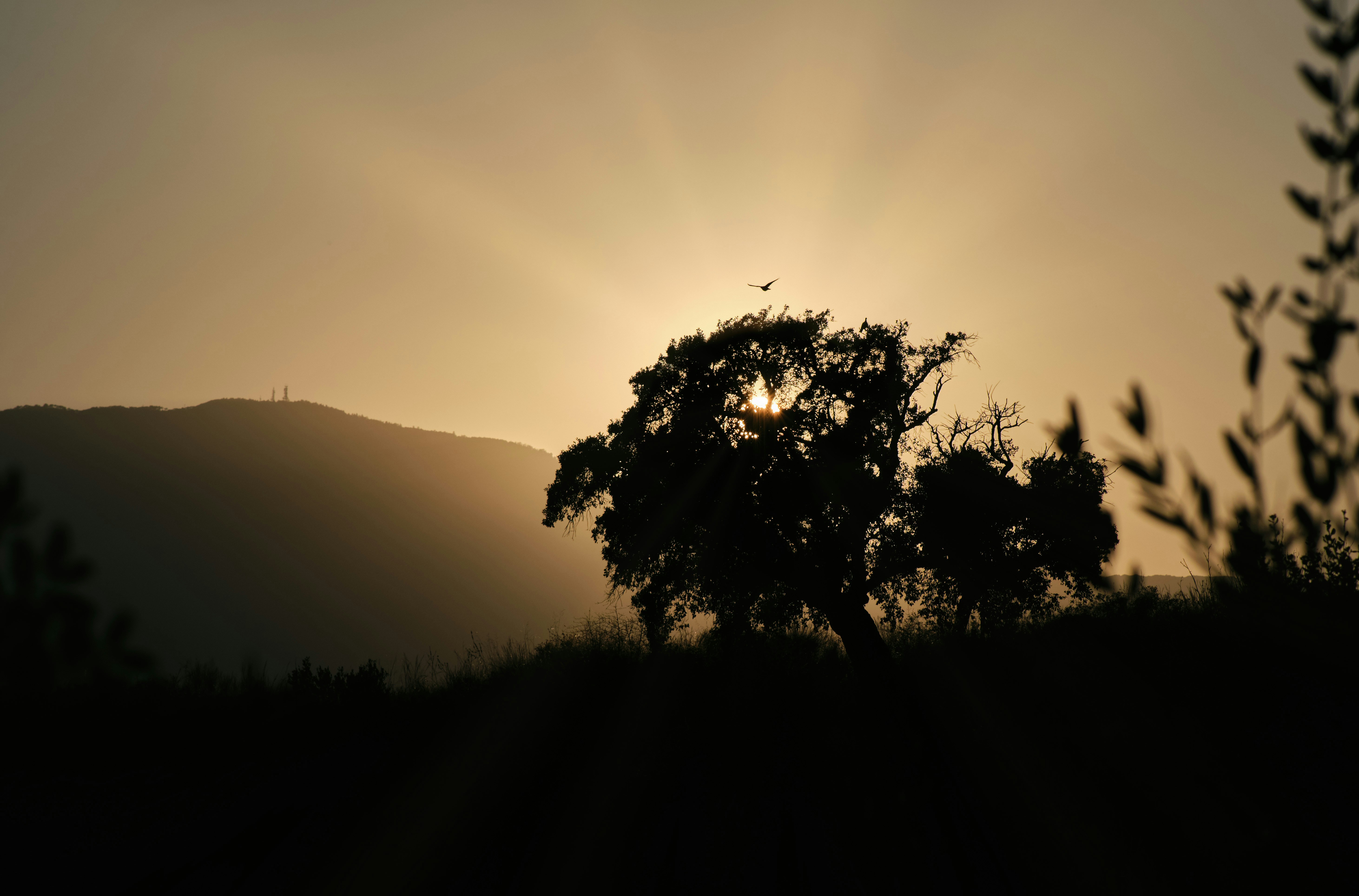 Photo by victor_vector