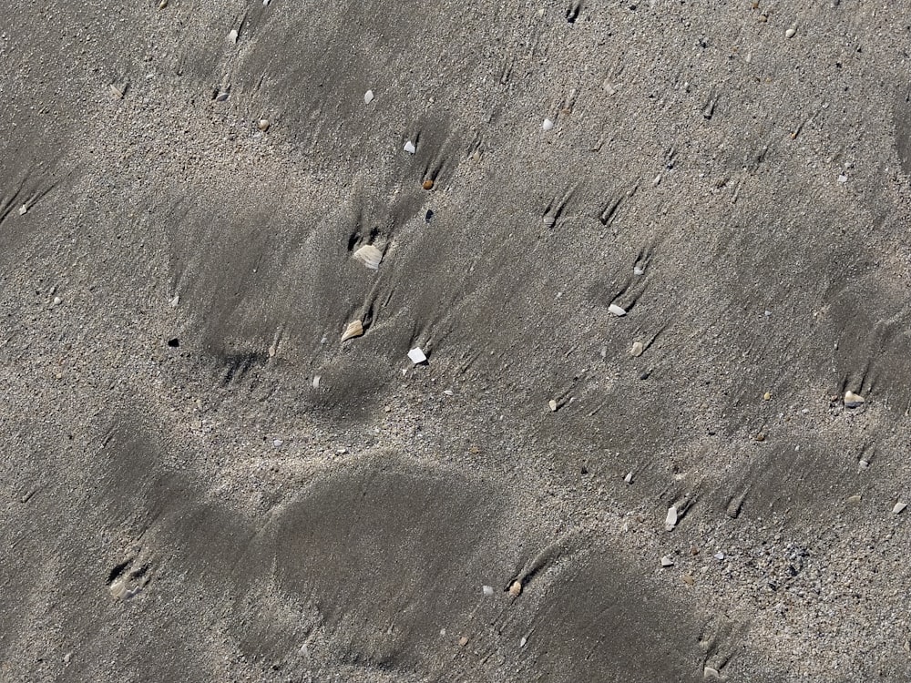gray and black stones on gray sand