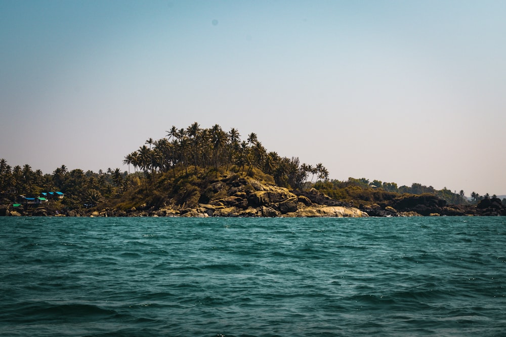 green trees on brown rock formation on sea under blue sky during daytime