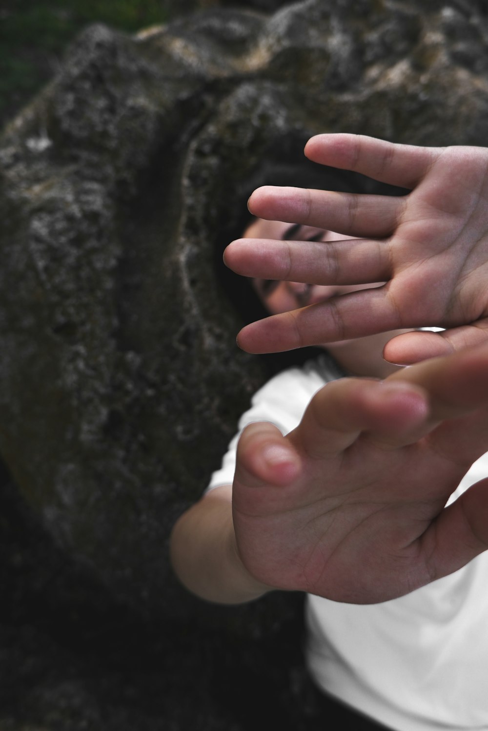 person holding white cotton on brown and black rock