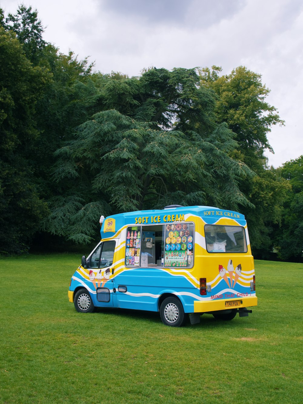blue and yellow van on green grass field