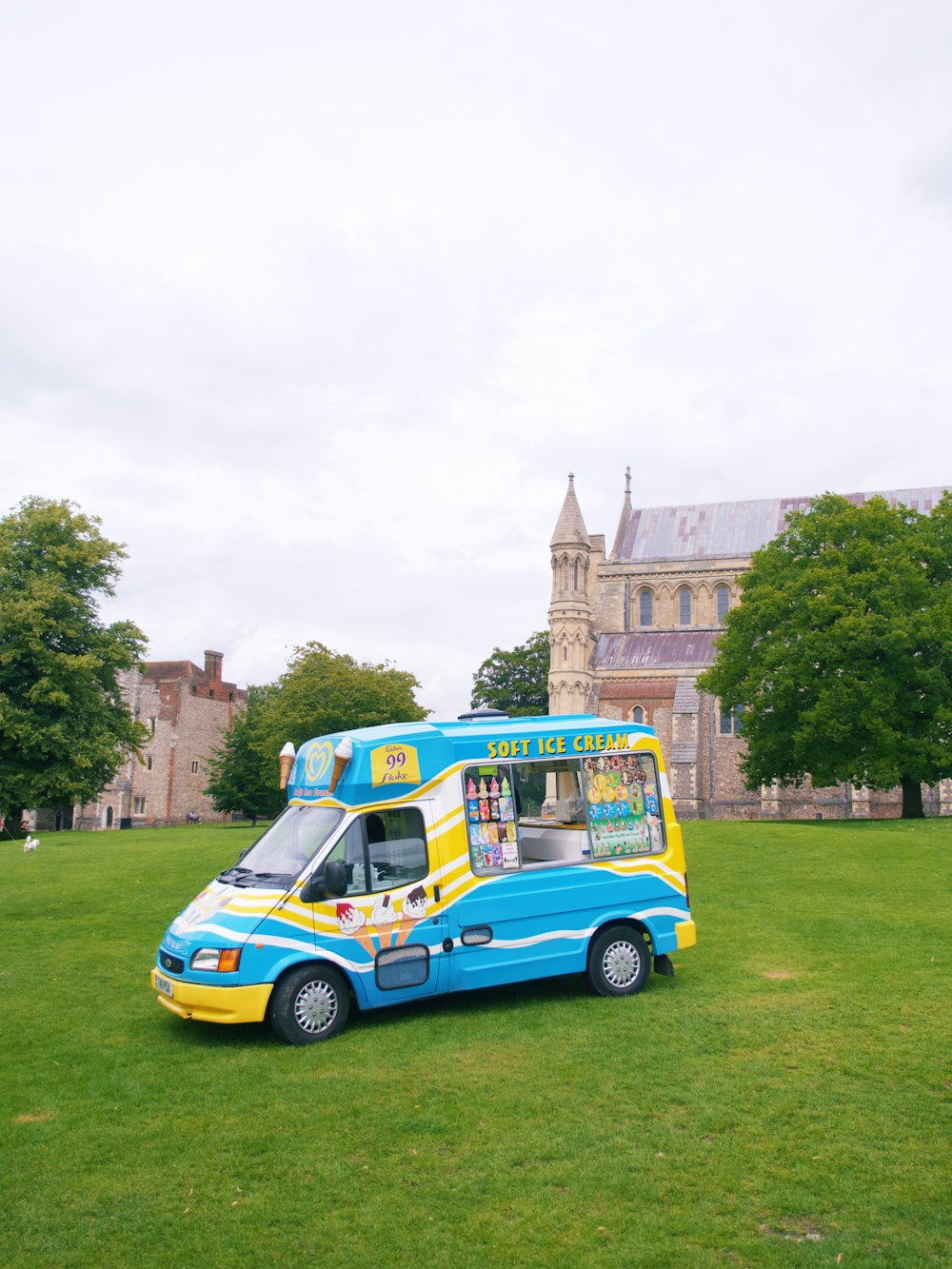 blue and red van on green grass field during daytime