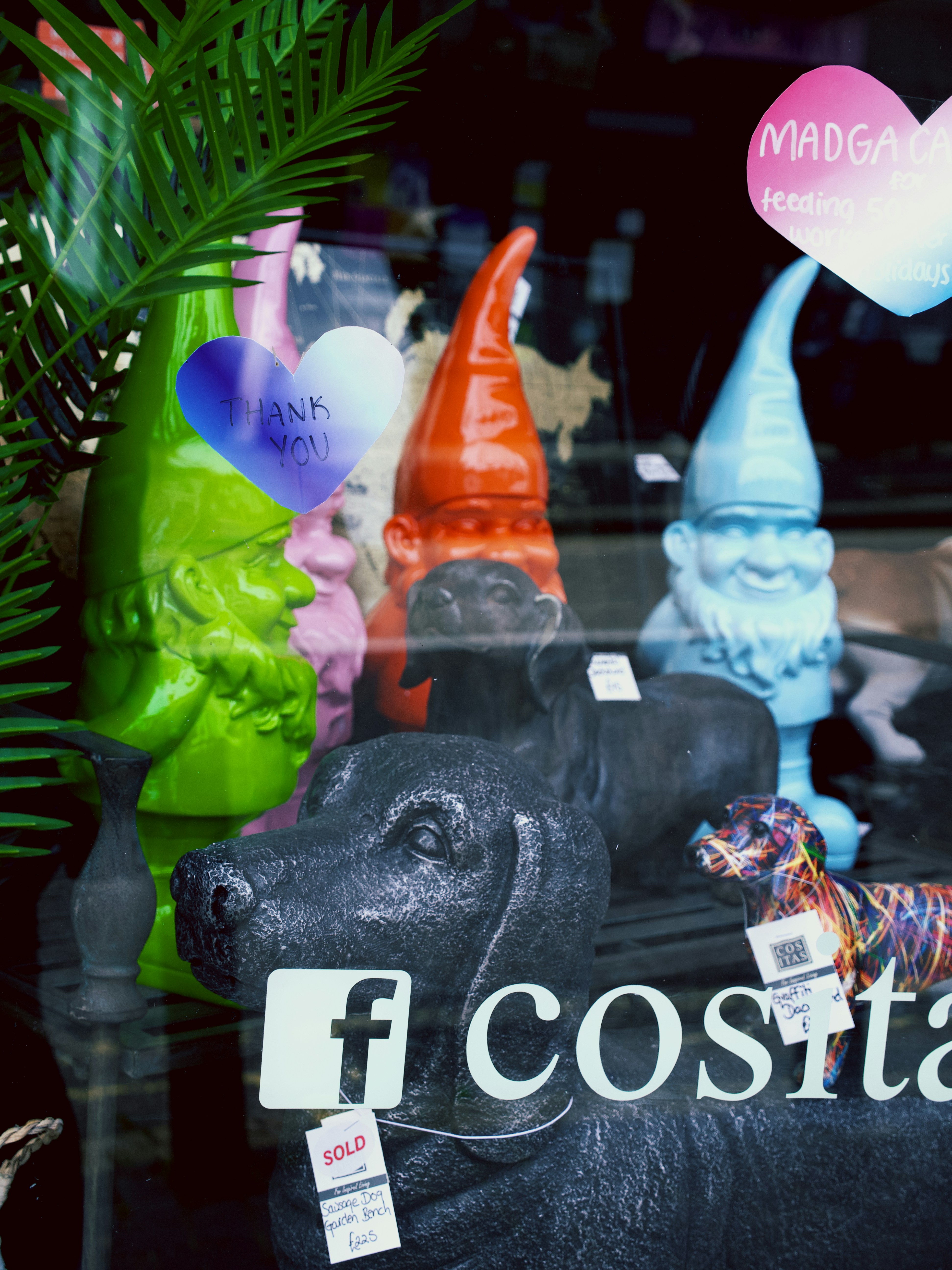 A display of colorful dog clothes in a boutique