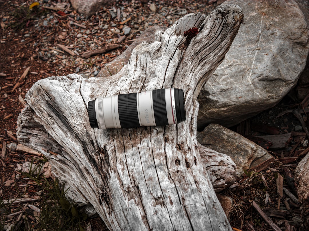 black and white camera lens on brown wood