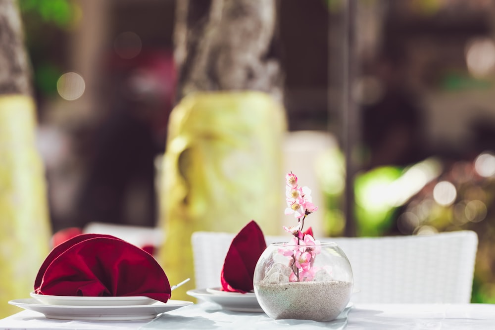 red rose on white ceramic plate