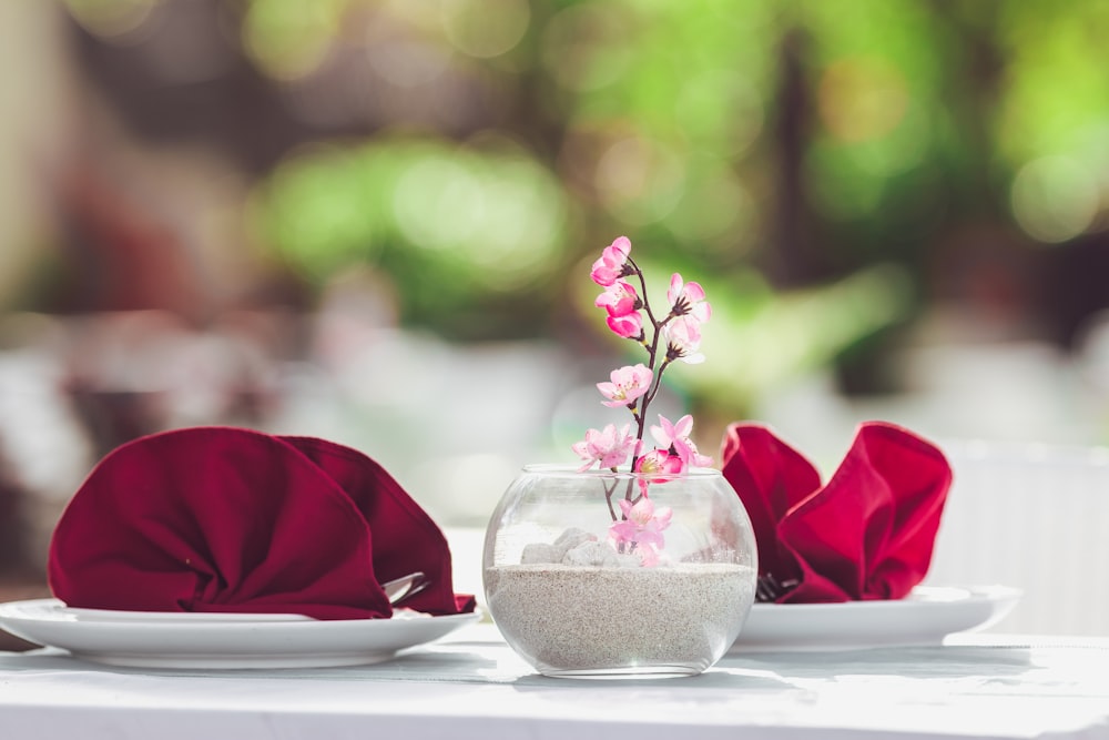 pink roses in clear glass vase on white table