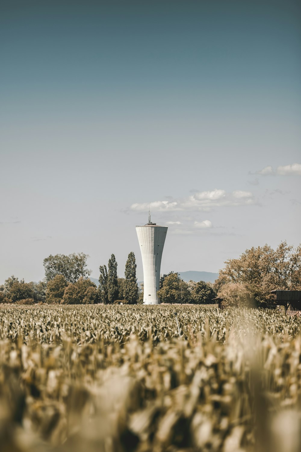 white and gray tower surrounded by brown grass field