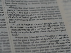 A close-up view of a page from a book, containing text in English. The text describes a biblical event involving Joseph interpreting a dream about three baskets of bread and birds eating from them.
