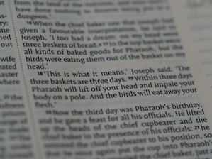 A close-up view of a page from a book, containing text in English. The text describes a biblical event involving Joseph interpreting a dream about three baskets of bread and birds eating from them.