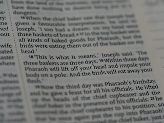 A close-up view of a page from a book, containing text in English. The text describes a biblical event involving Joseph interpreting a dream about three baskets of bread and birds eating from them.