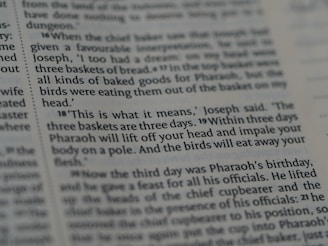 A close-up view of a page from a book, containing text in English. The text describes a biblical event involving Joseph interpreting a dream about three baskets of bread and birds eating from them.