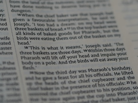 A close-up view of a page from a book, containing text in English. The text describes a biblical event involving Joseph interpreting a dream about three baskets of bread and birds eating from them.