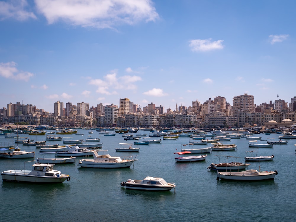 barcos brancos e azuis no mar perto de edifícios da cidade sob o céu azul durante o dia