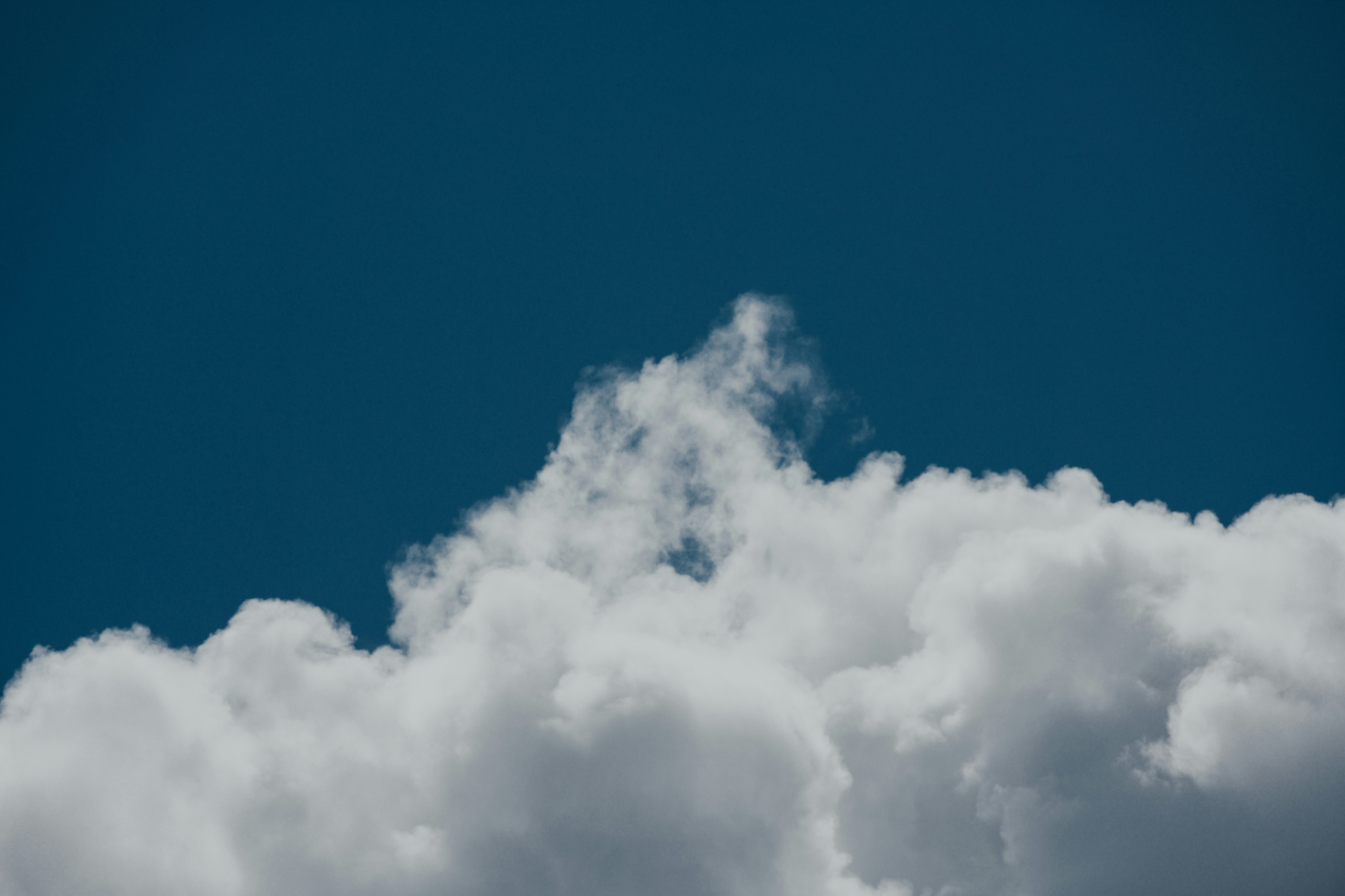 Photo by chuttersnap