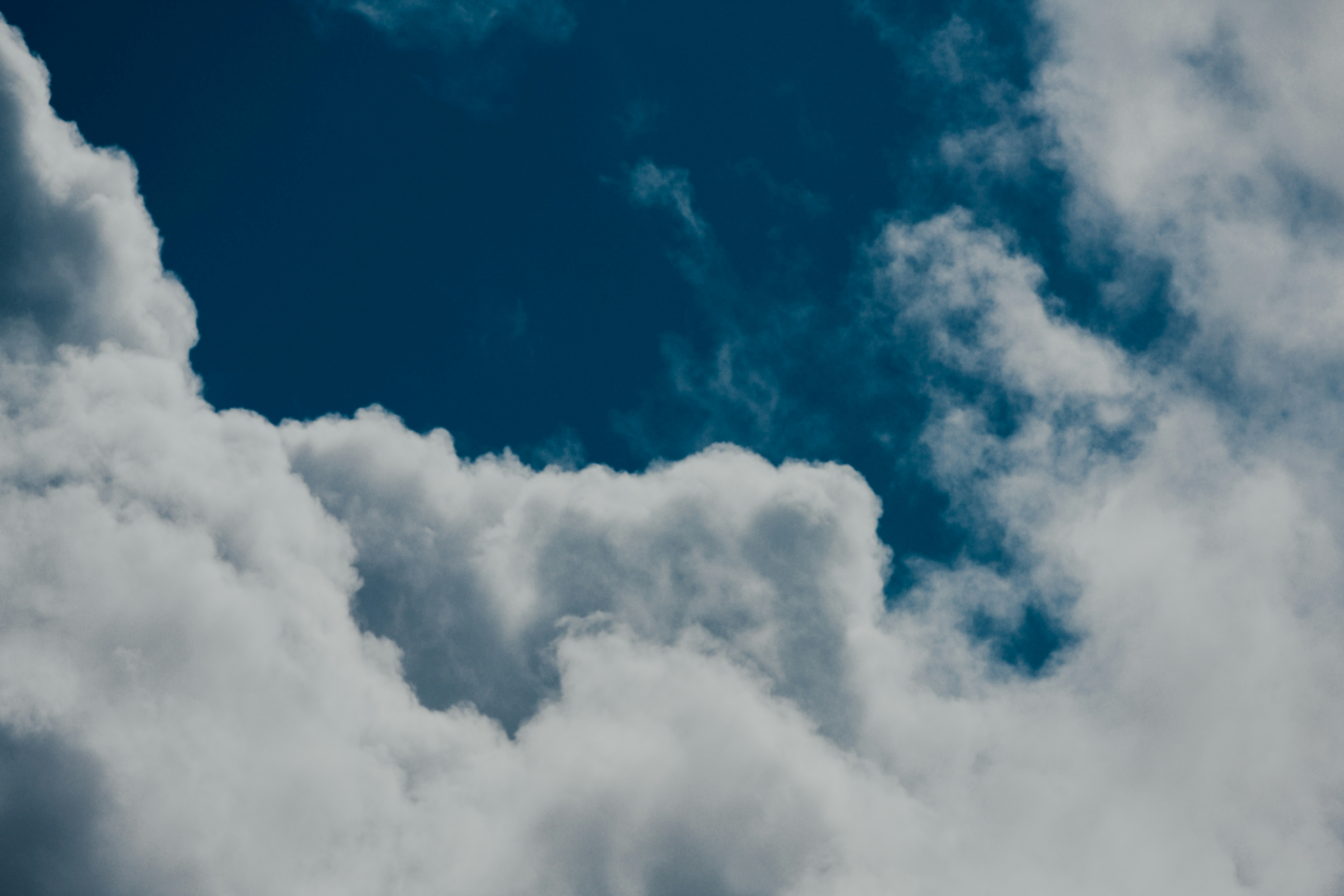 Photo by chuttersnap