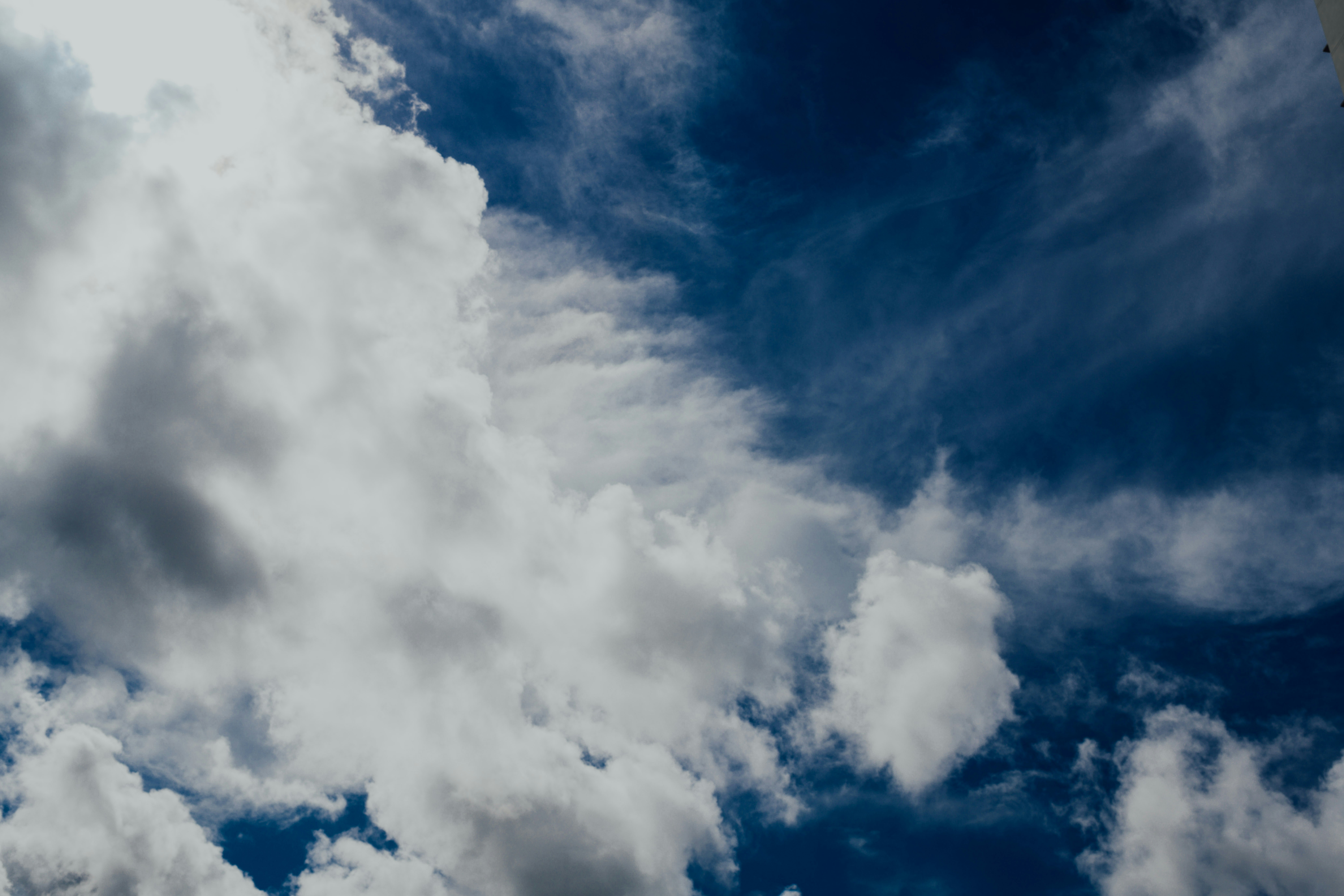 Photo by chuttersnap