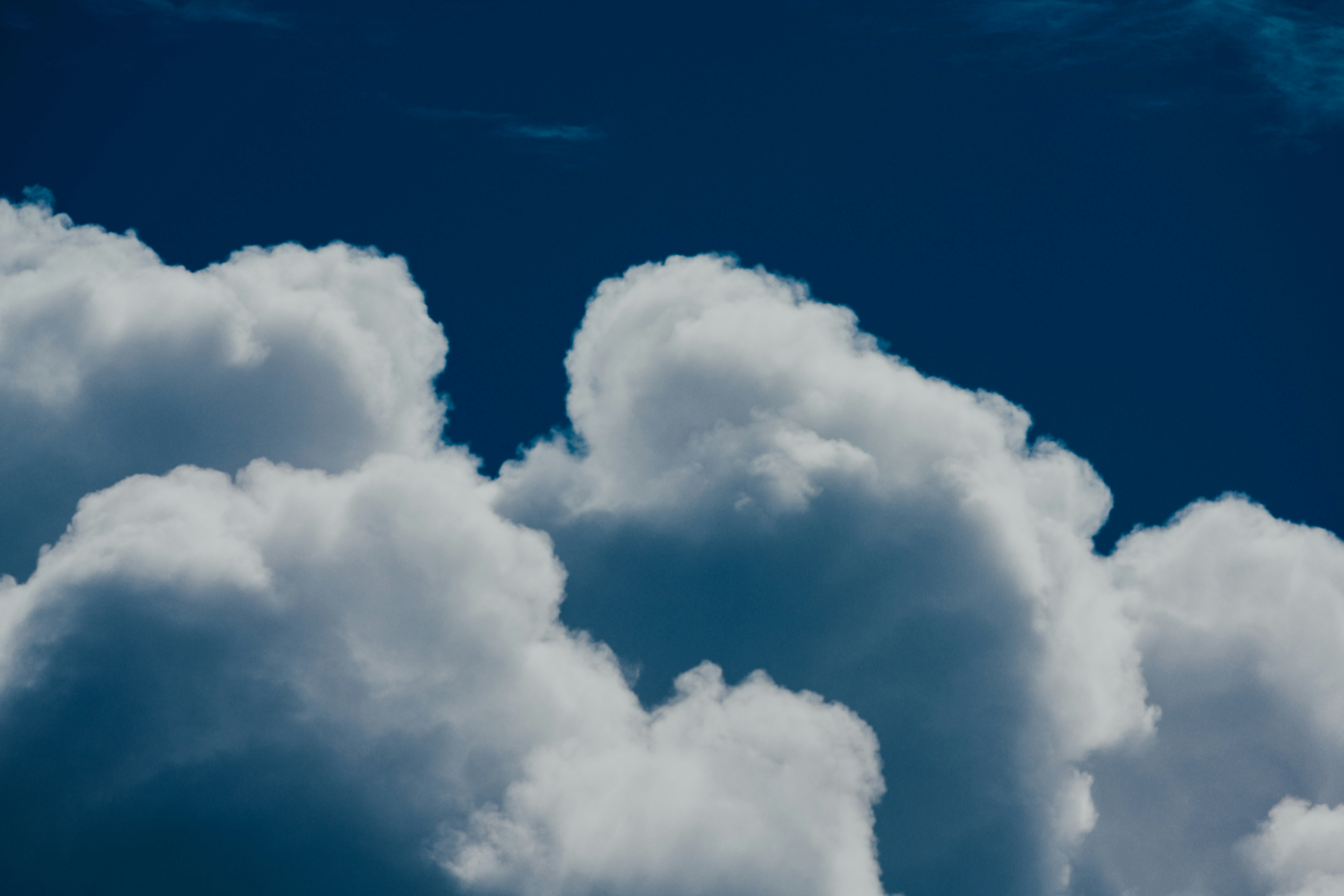 Photo by chuttersnap