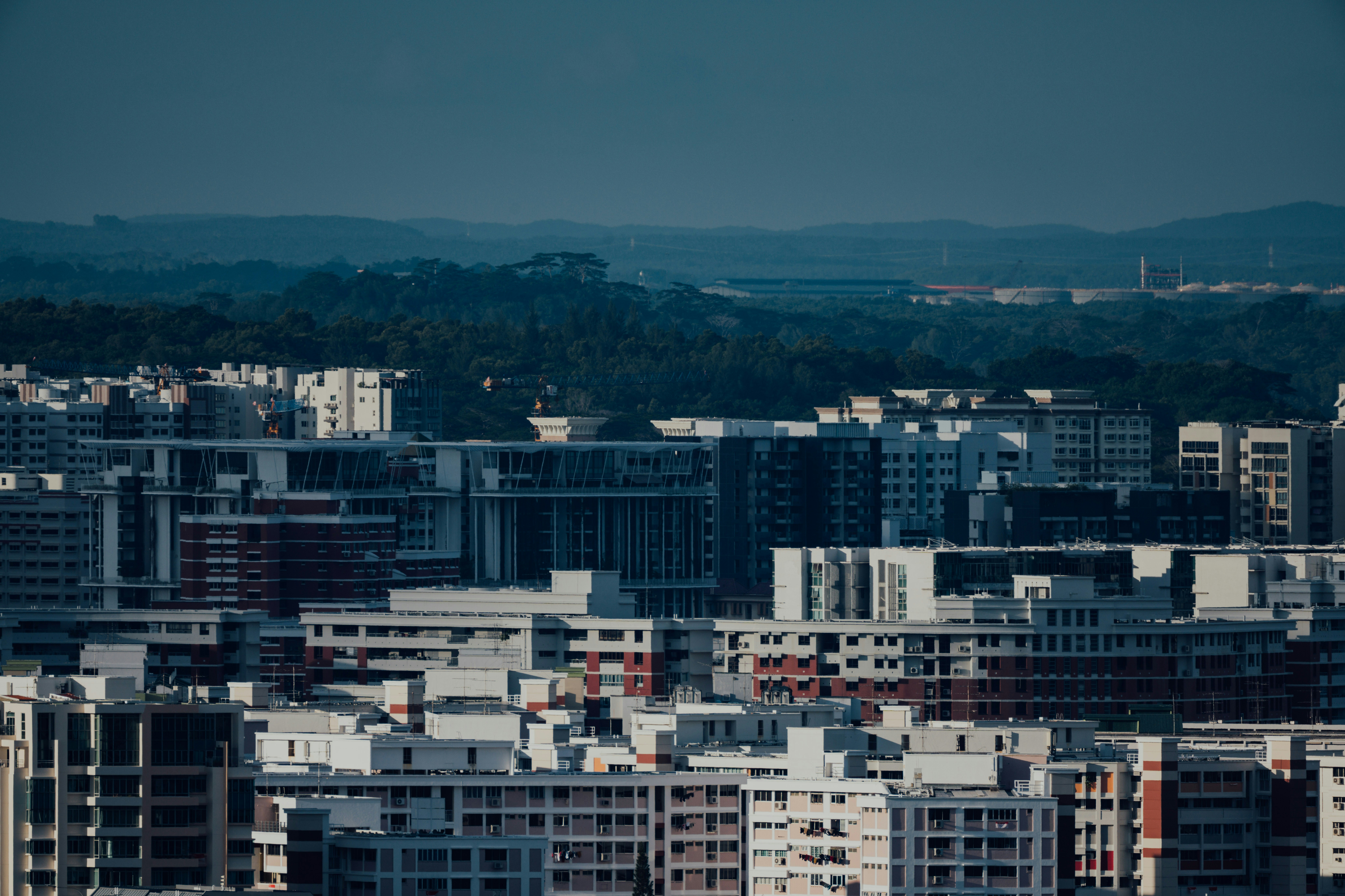 Photo by chuttersnap