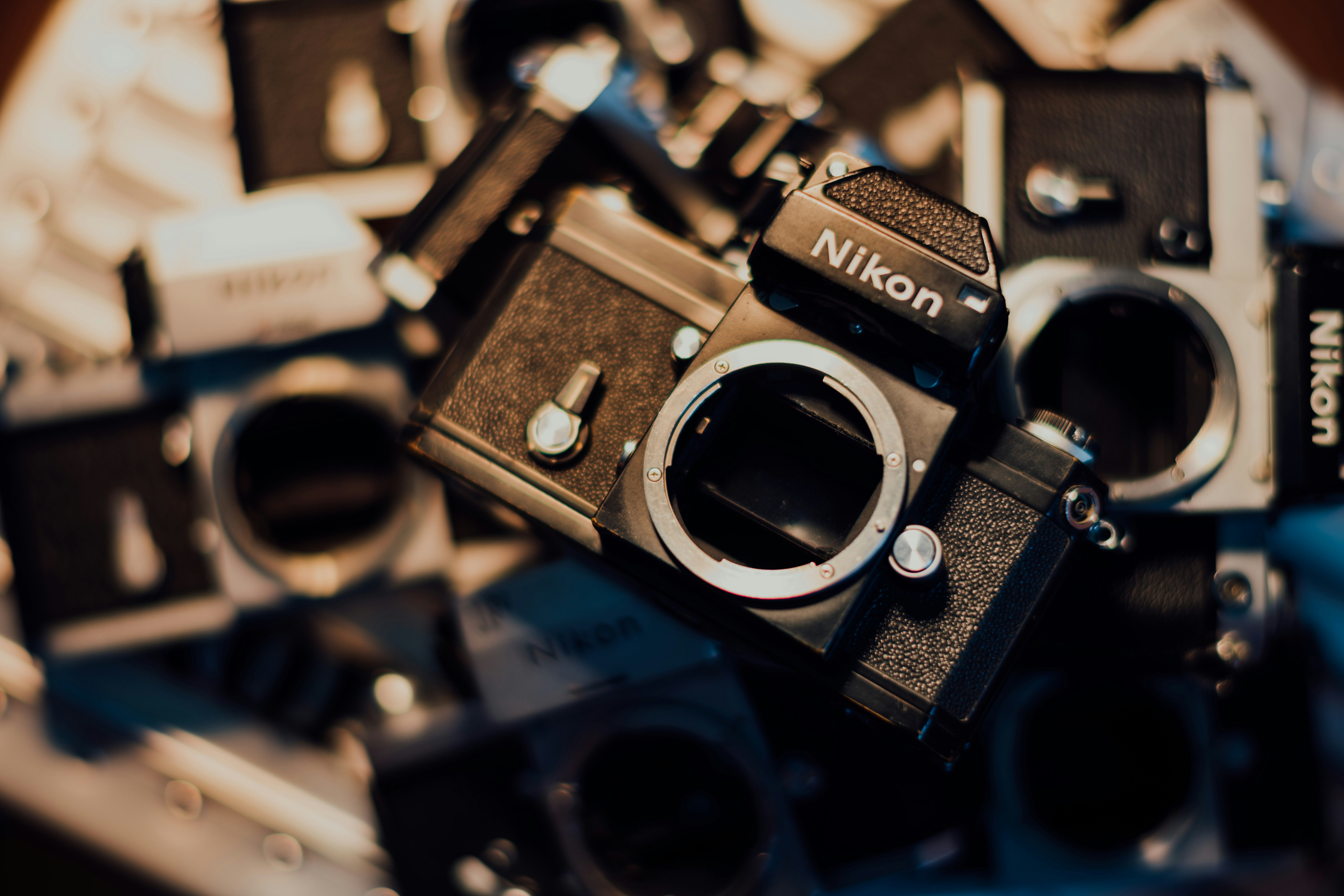 Photo by chuttersnap