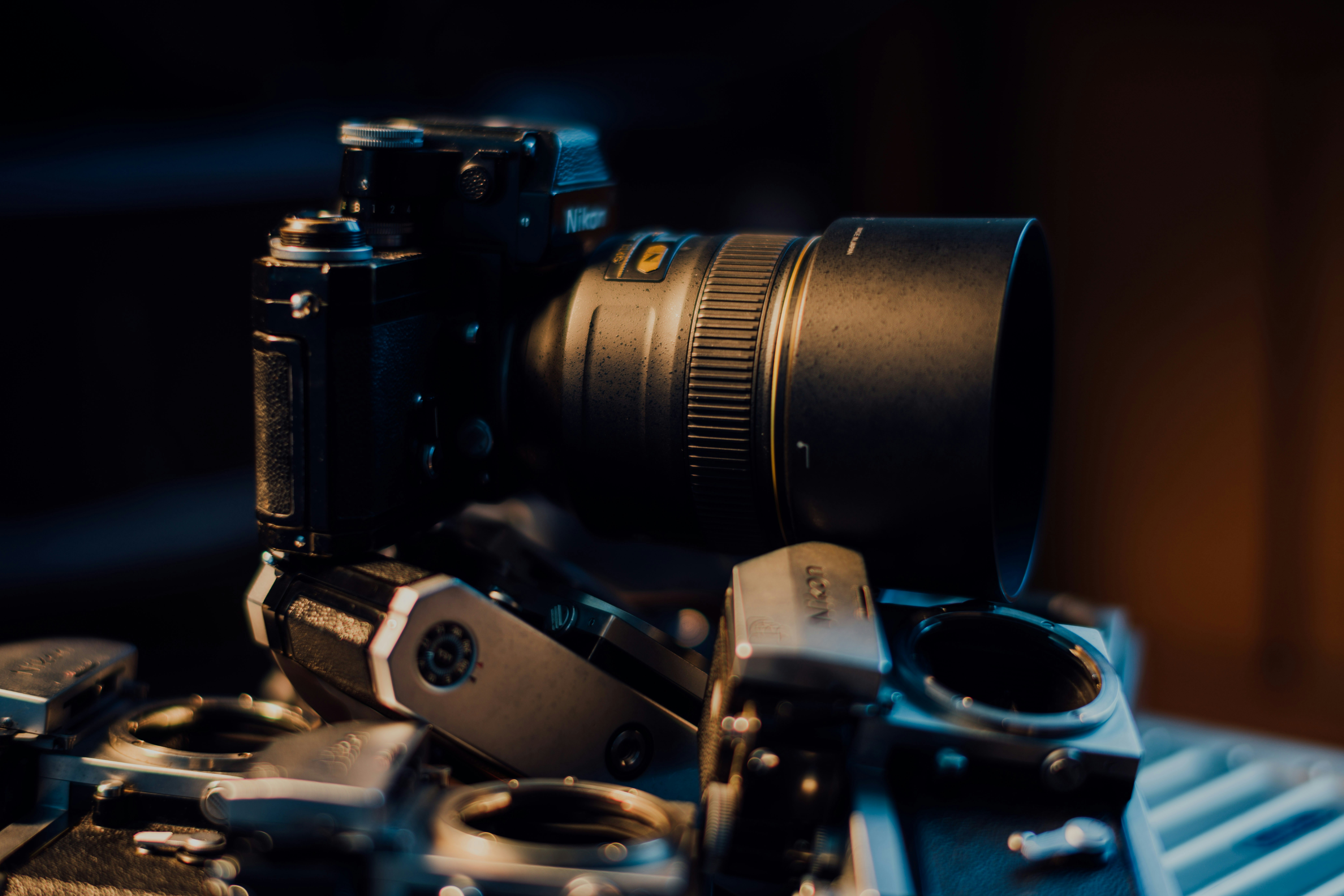 Photo by chuttersnap