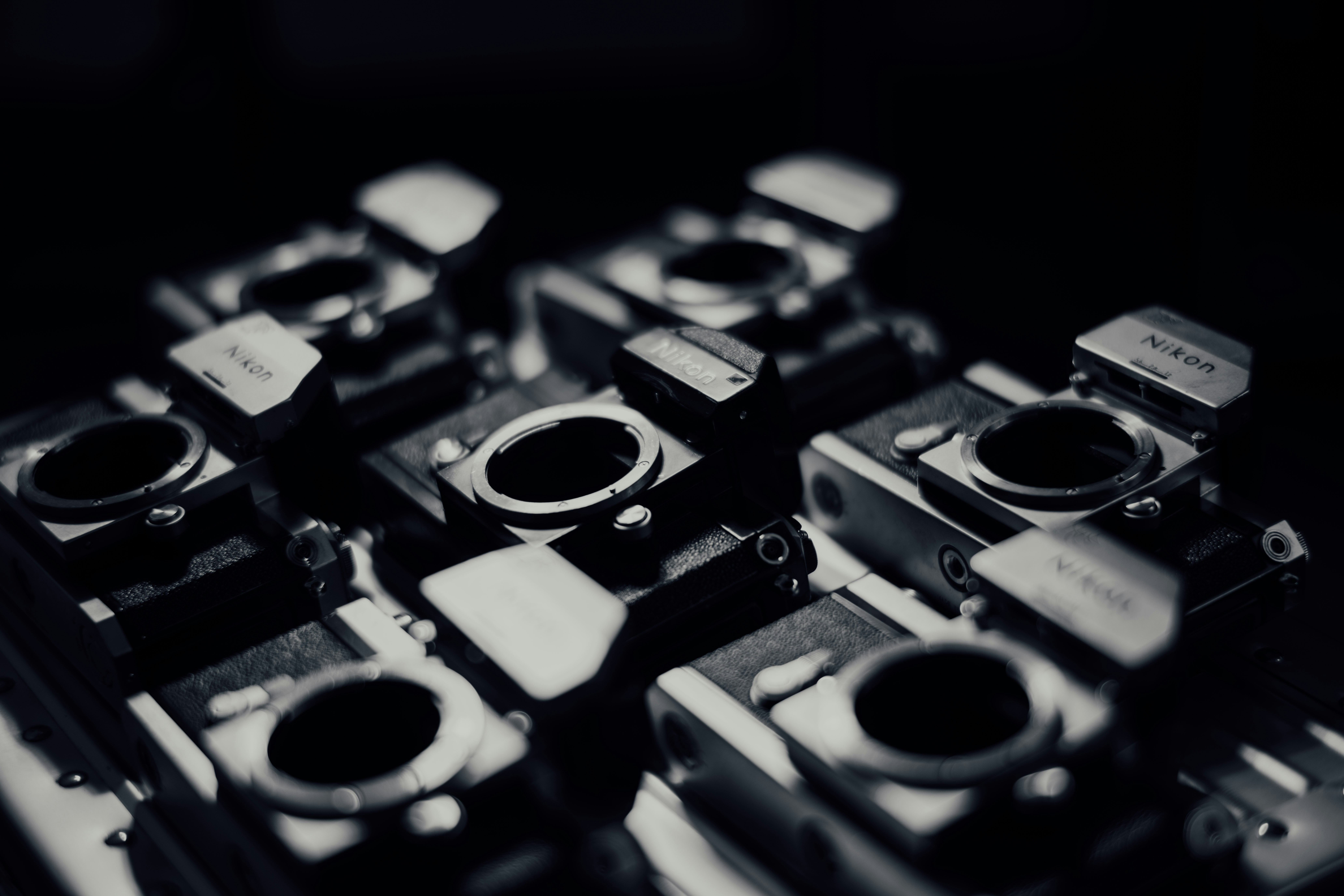 Photo by chuttersnap