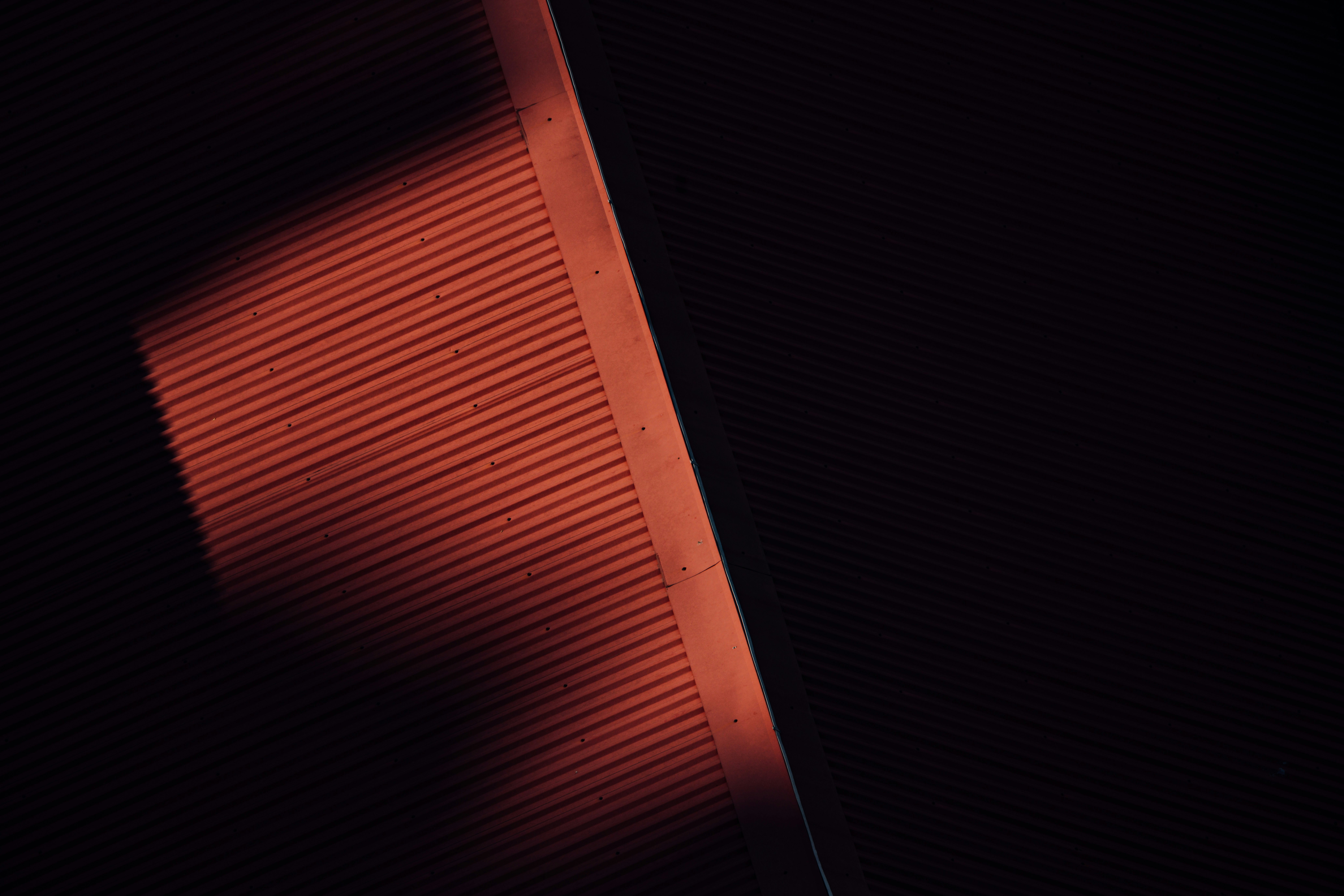 Photo by chuttersnap