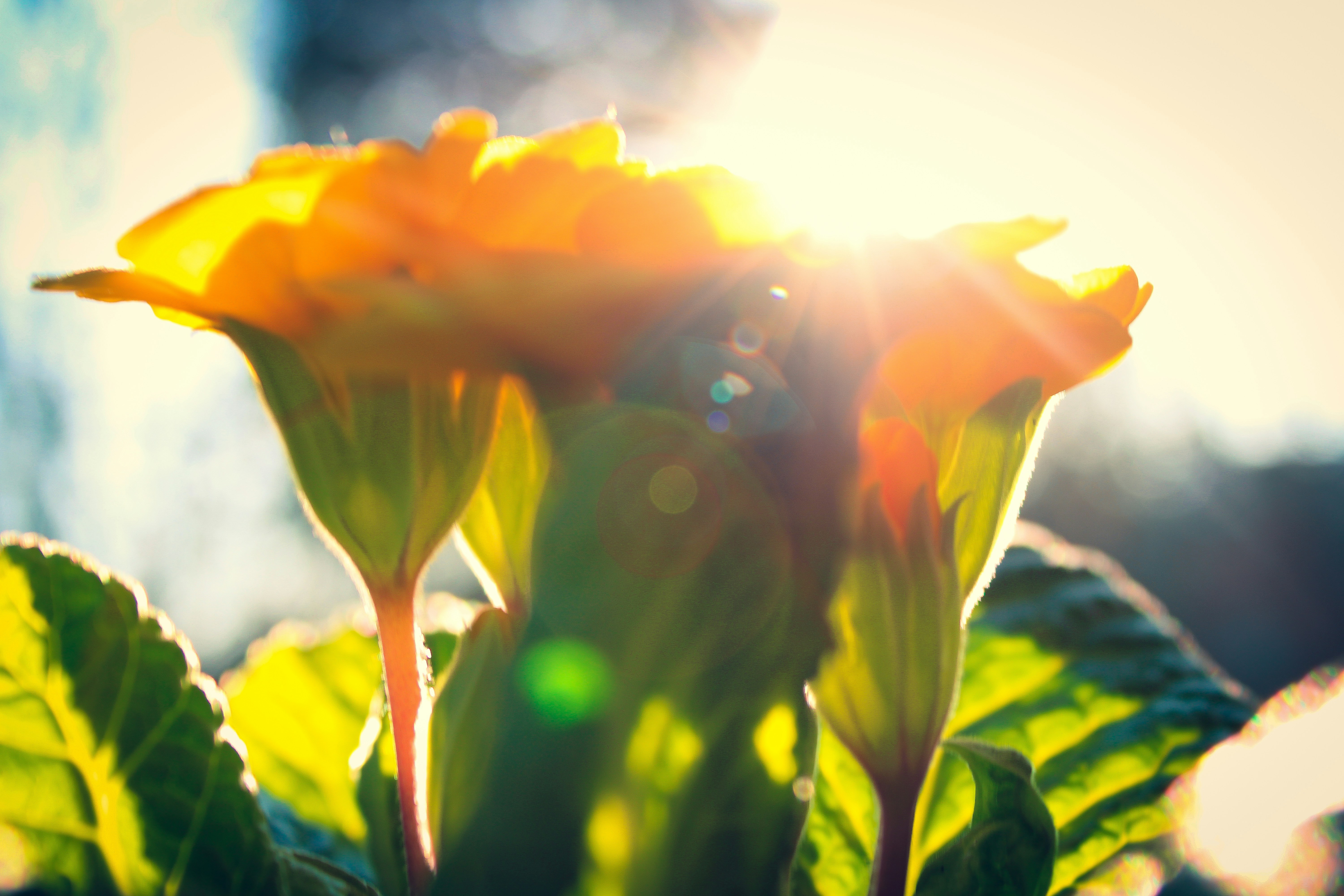 Felix Polgar (@foways) | Comunidad de fotos de Unsplash