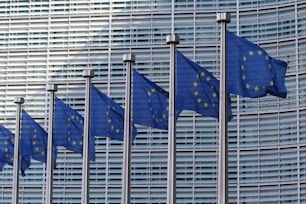 blue and white flags on pole