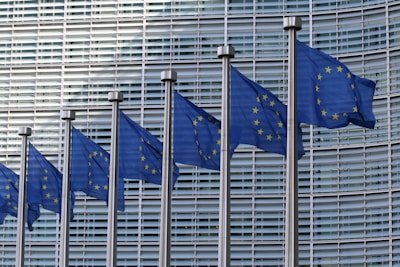 blue and white flags on pole