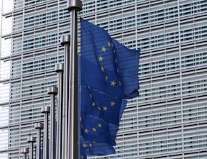 blue flag on pole near building during daytime