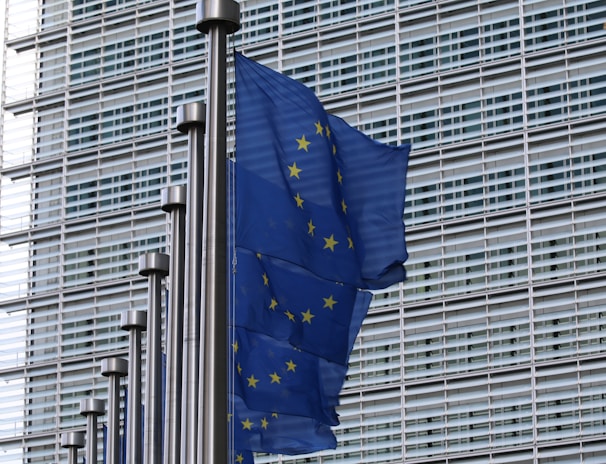 Several European Union flags with blue backgrounds and yellow stars are mounted on metal poles in front of a modern building with a grid-like facade.