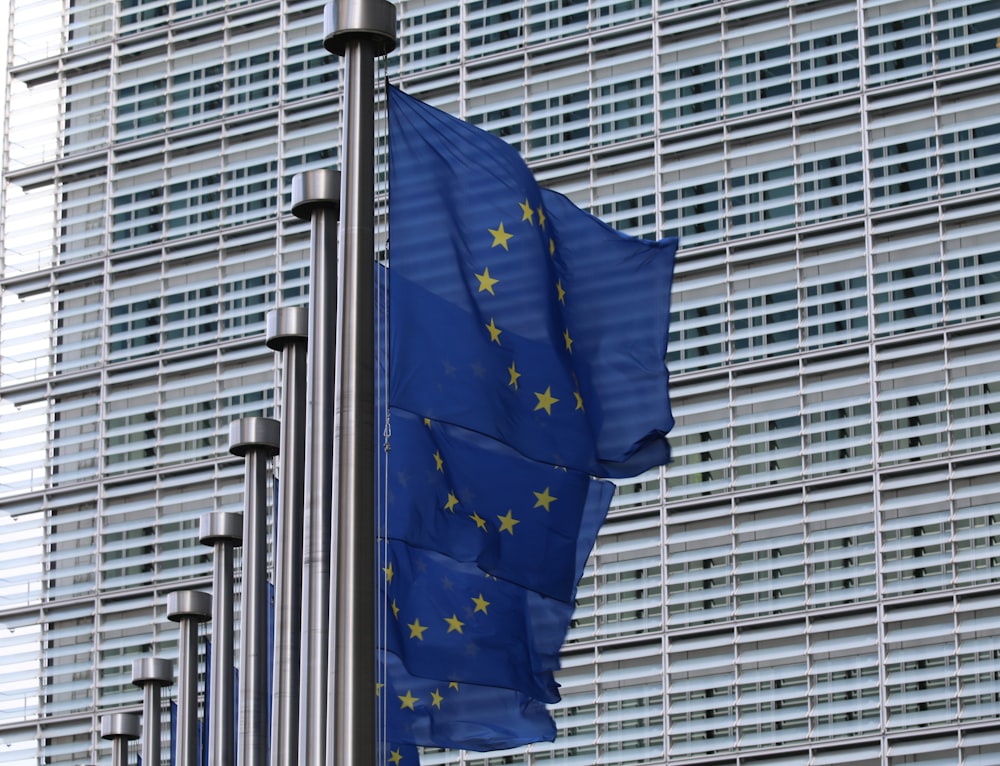 blue flag on pole near building during daytime