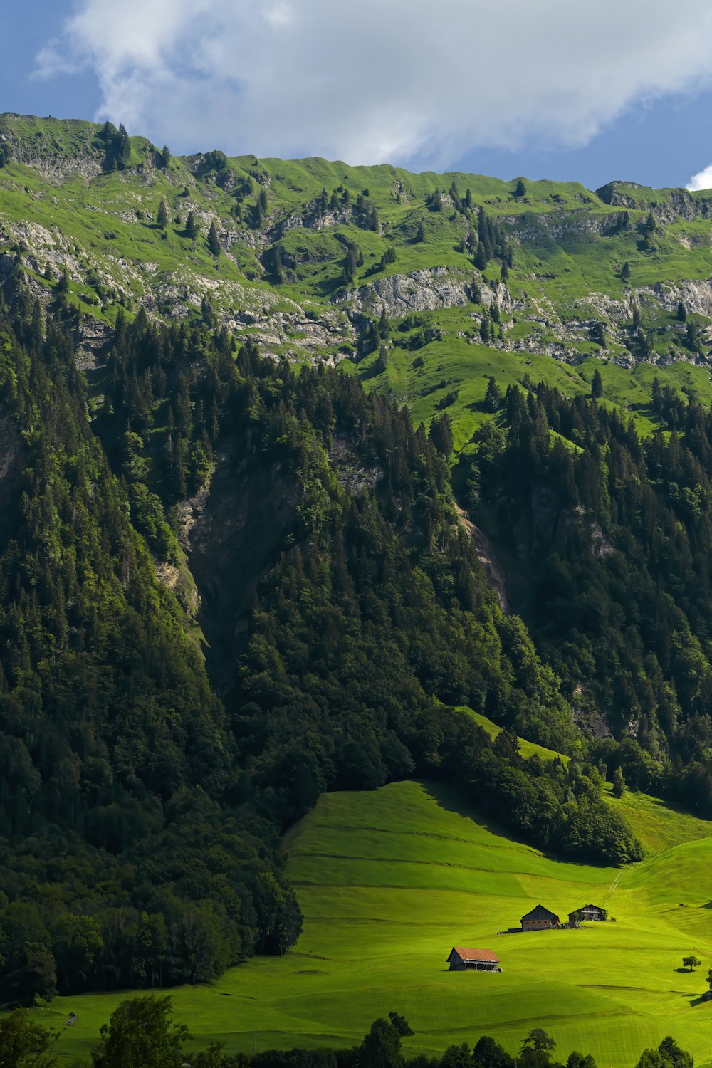 Grüne und graue Berge tagsüber